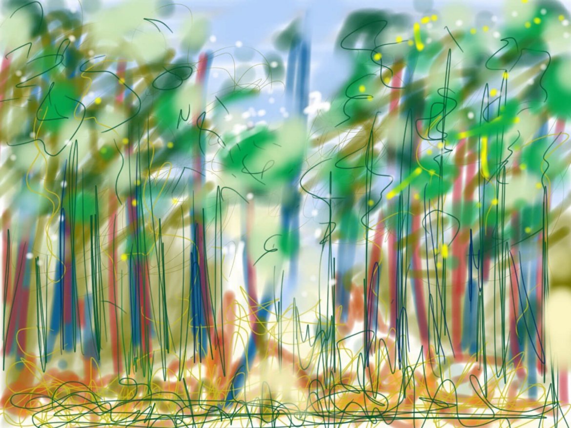 an ipad sketch of broxbourne wood