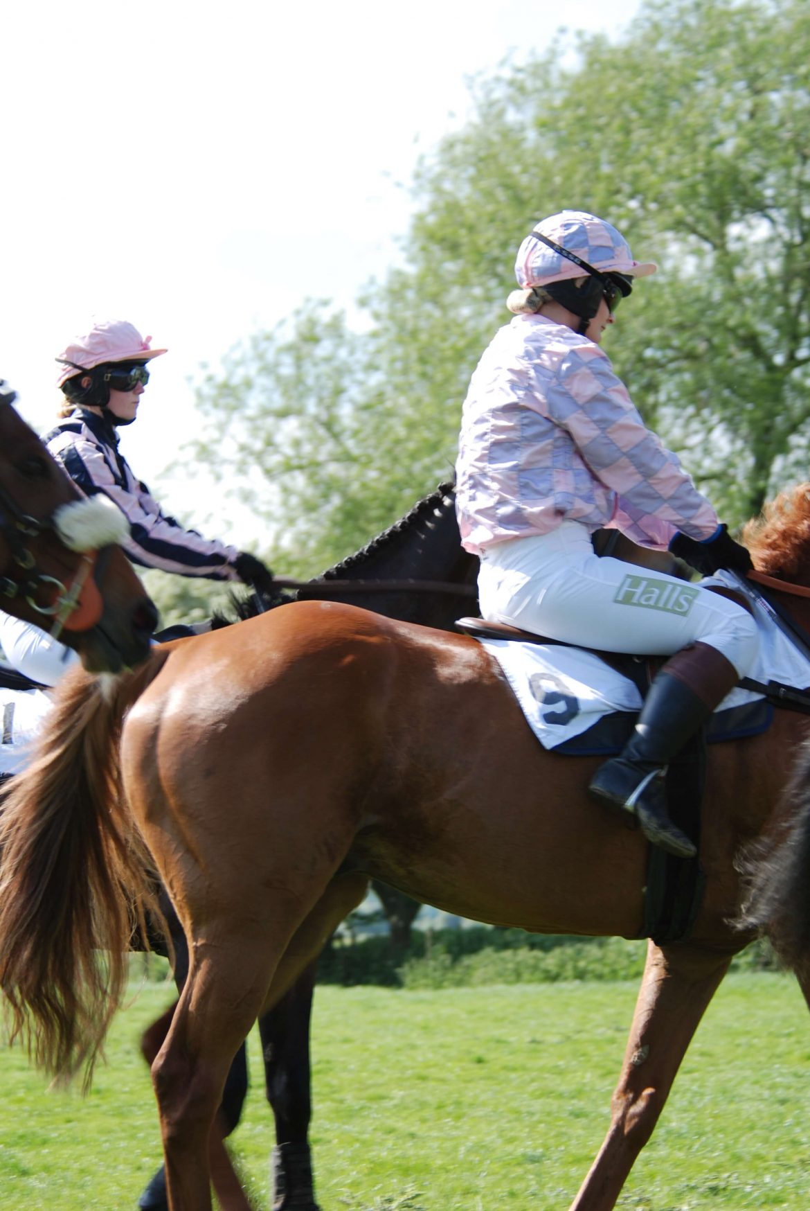 Photograph of a start of ladies point to point race