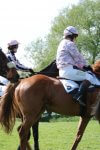 photograph of a start of ladies point to point race