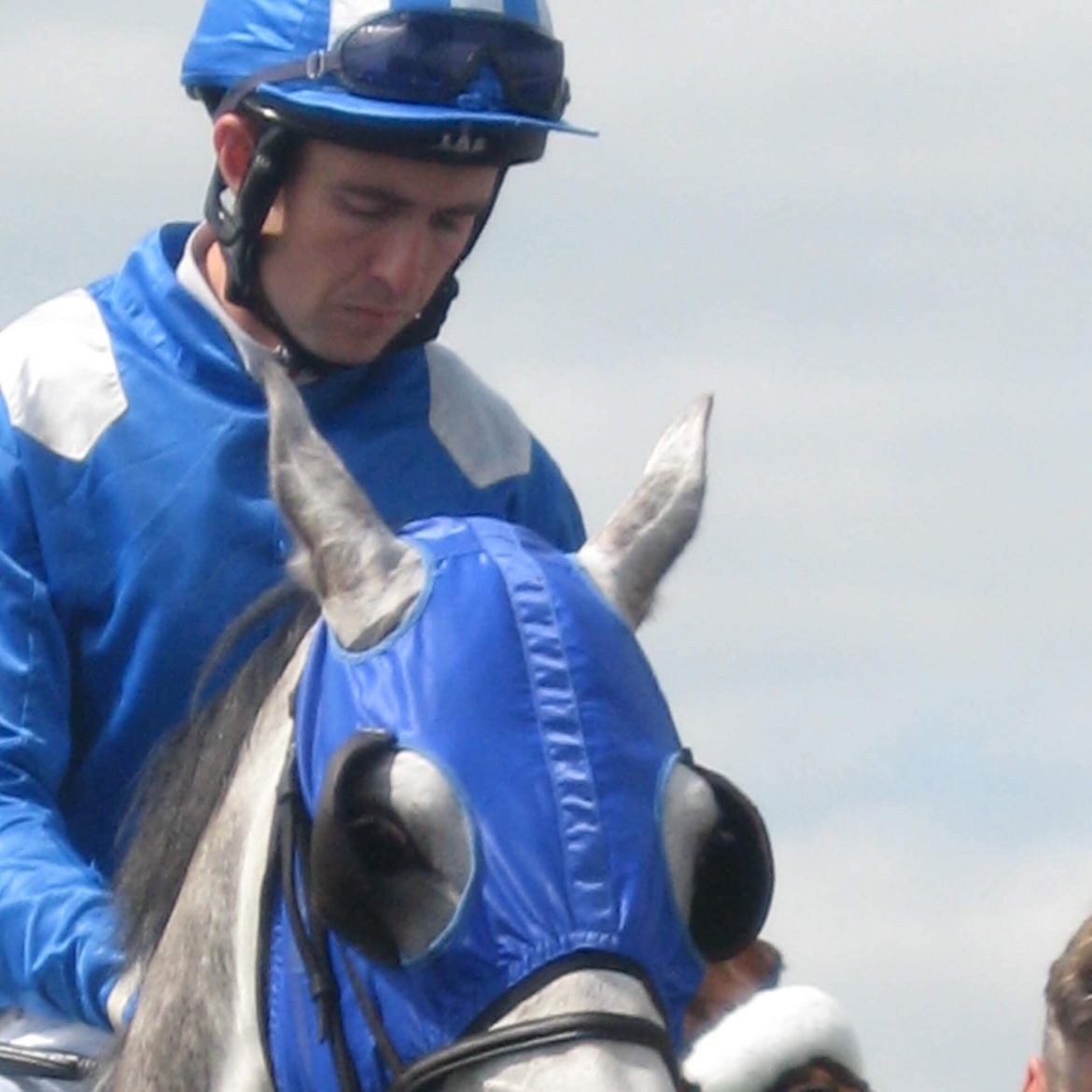 a photo of a jockey in blue silks focussing pre-race on a grey horse